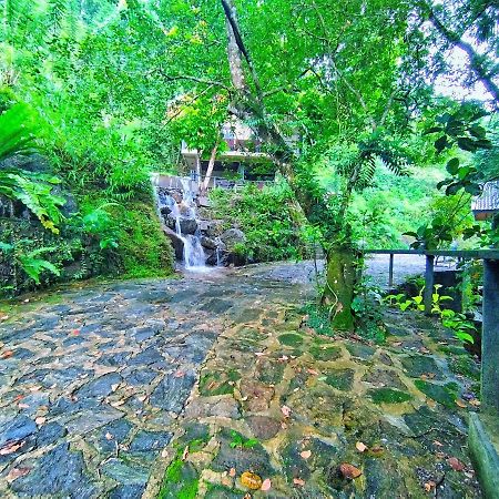 Forest Shade Eco Resort Deraniyagala Kültér fotó