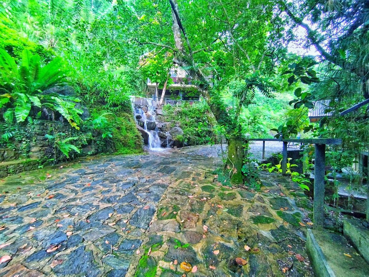 Forest Shade Eco Resort Deraniyagala Kültér fotó