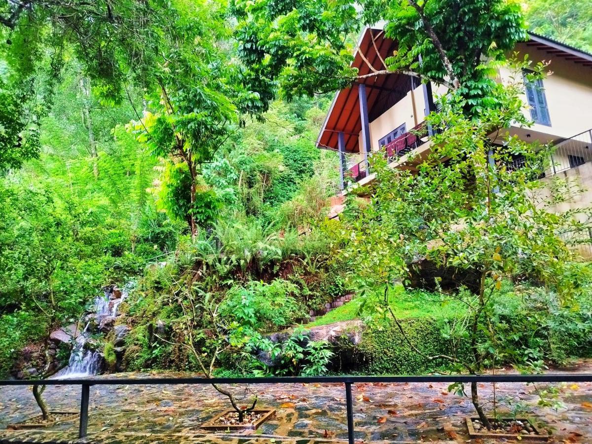Forest Shade Eco Resort Deraniyagala Kültér fotó
